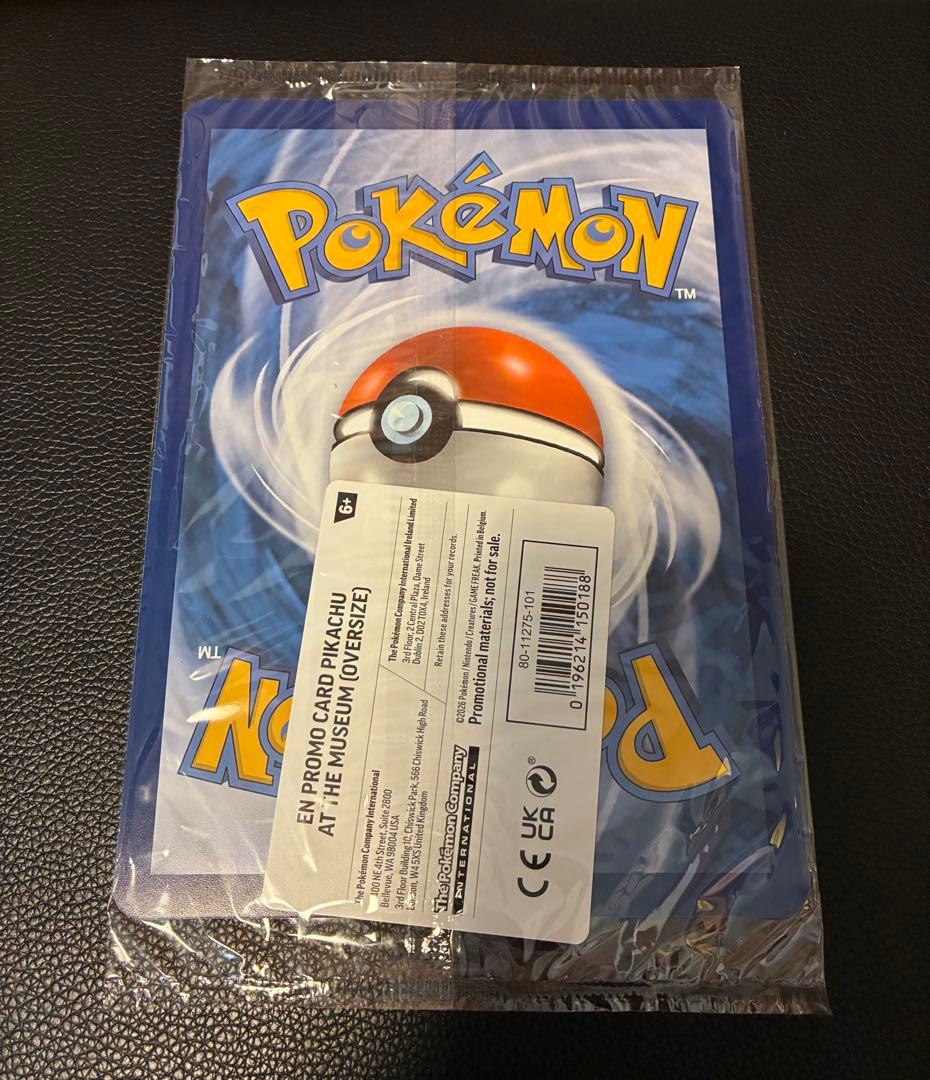 Pikachu at the Museum ピカチュウ ロンドン自然史博物館21
