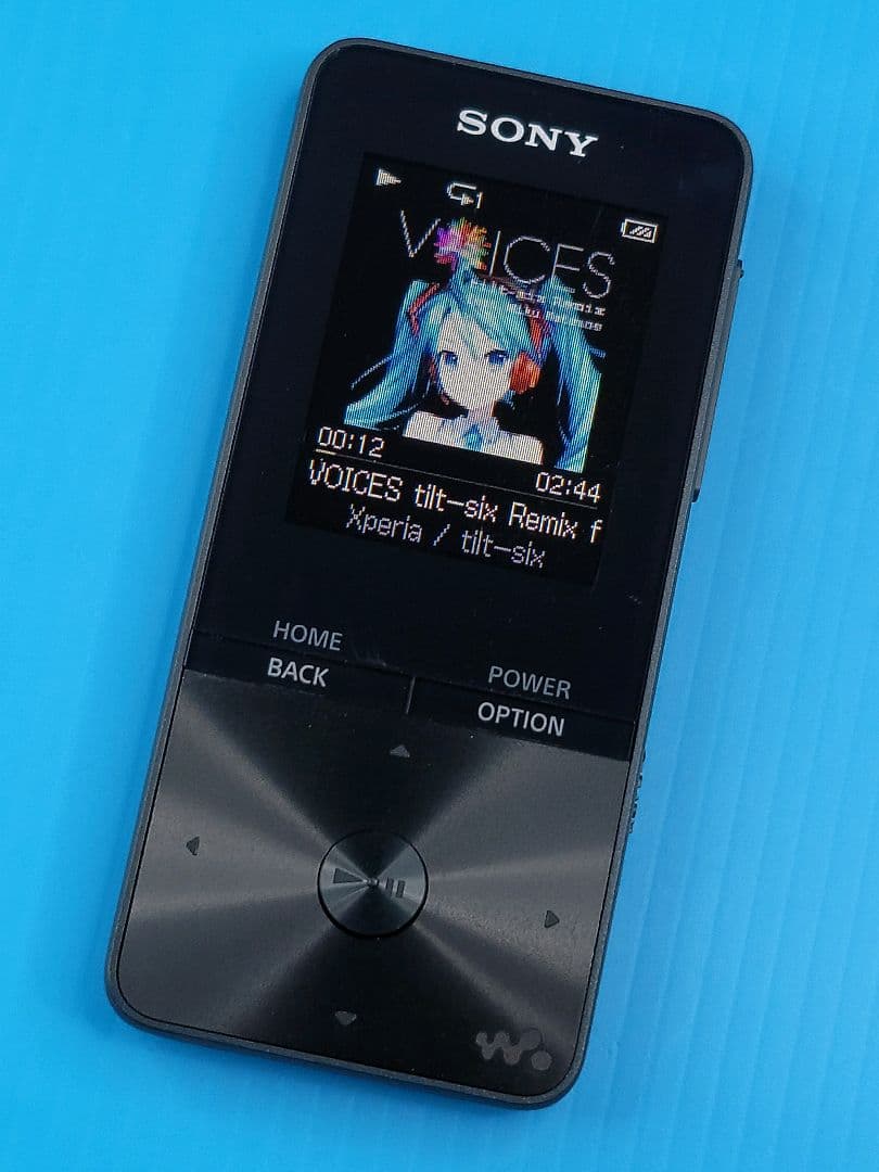 【Bluetooth】SONY WALKMAN NW-S313（B） 4GB