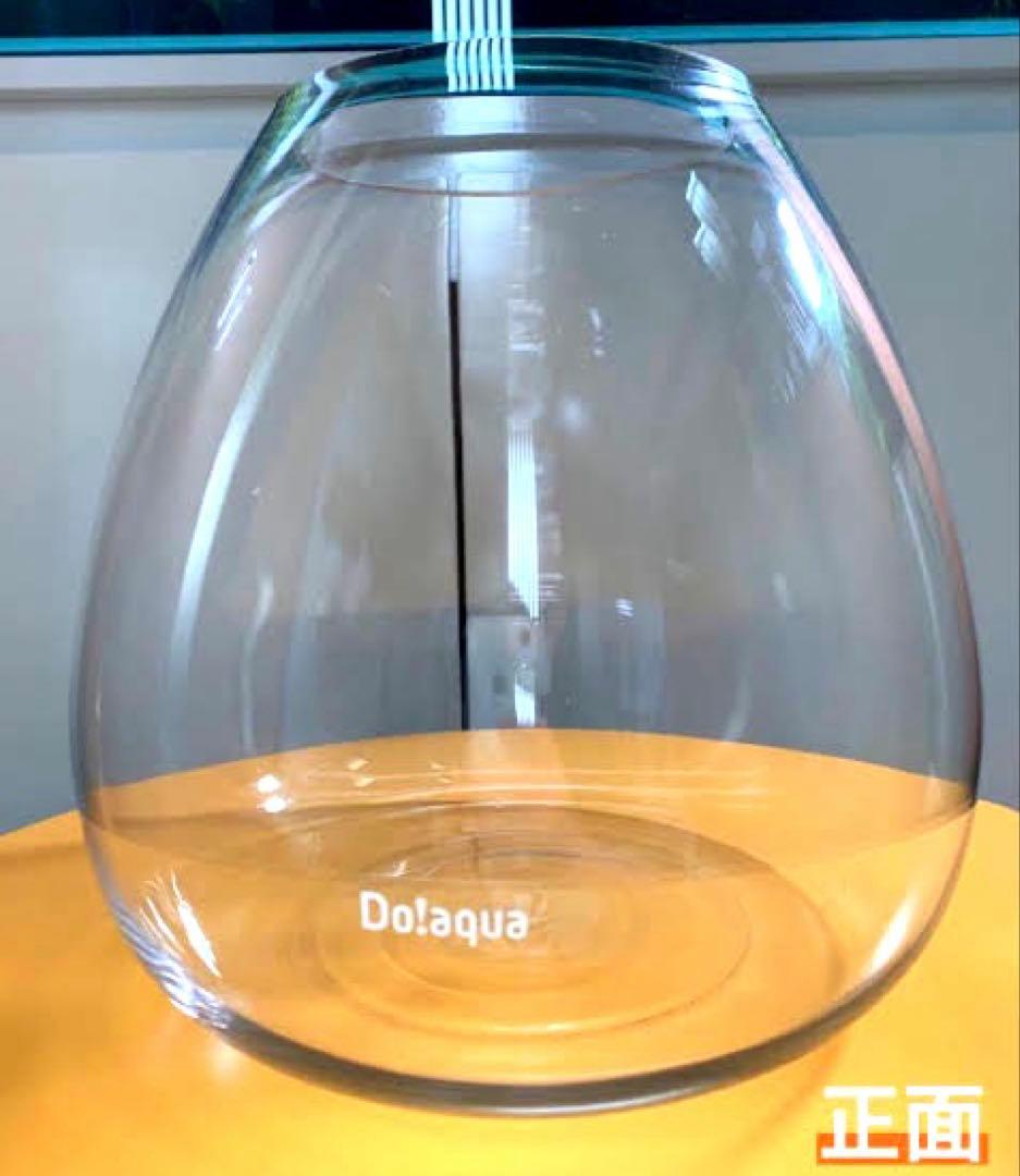 ADA Do!aqua オーバル25 ガラス 水槽 廃盤 希少 詫び草