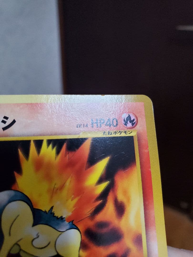 ハ*ワ様 開封済み　ポケモンカードneo　旧裏　プレミアムファイル