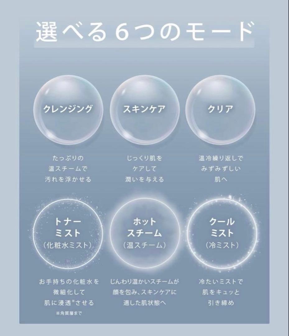 SALONIA サロニア ピュアブライト スチーマー 美容 SAL22207BE