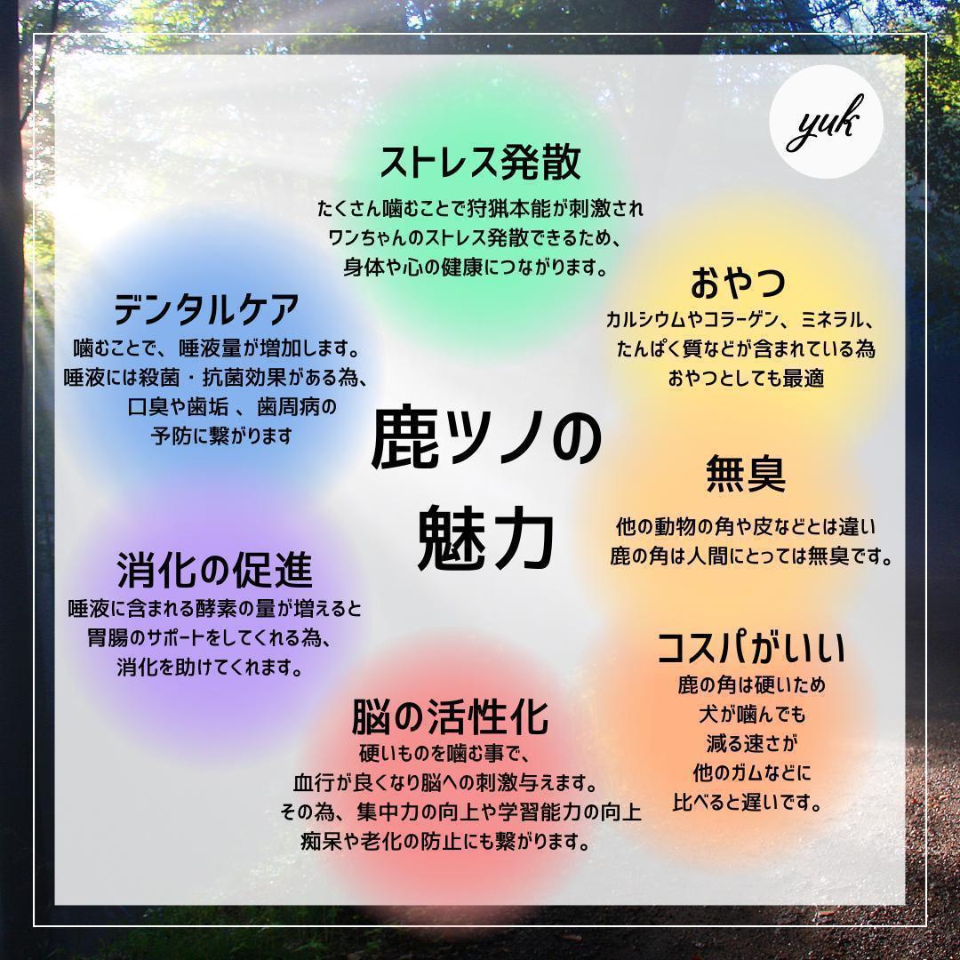 【お試し3本セット】　大型犬用　四つ割り＆半割り＆一本物　犬のおもちゃ　鹿の角