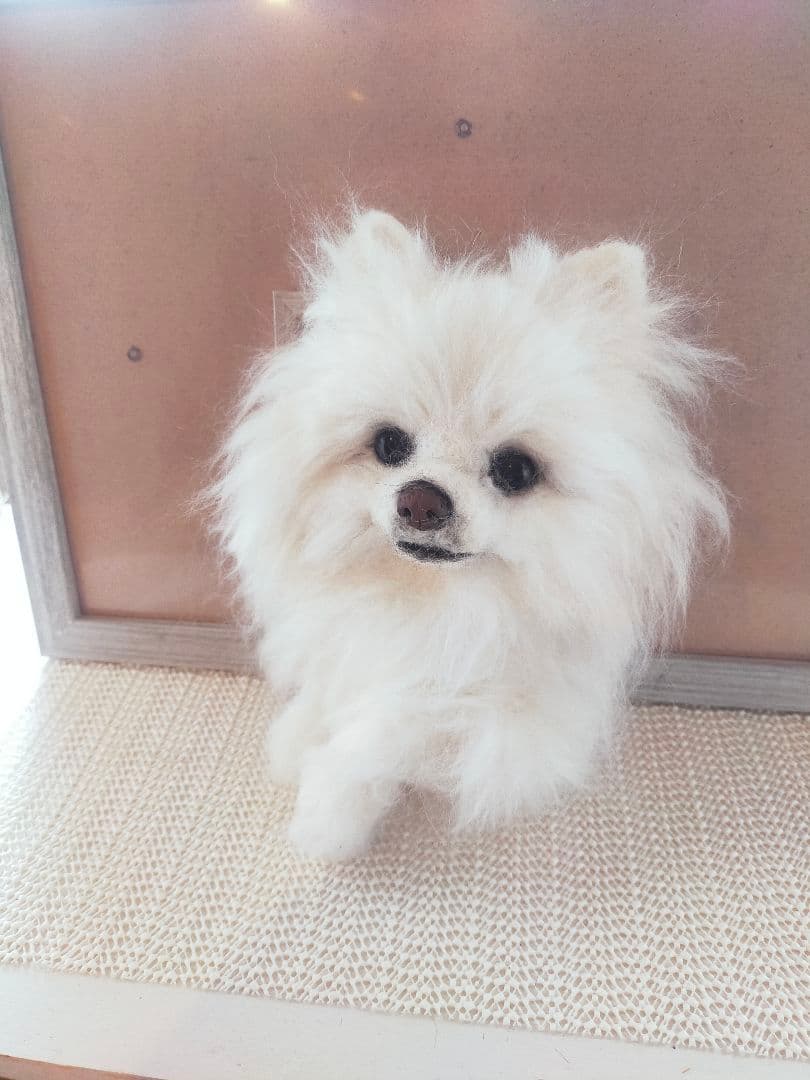 羊毛フェルト　ハンドメイド　犬　ポメラニアン