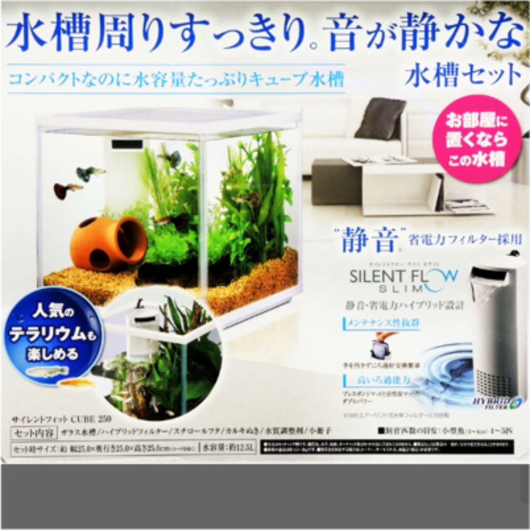 GEX サイレントフィットキューブ２５０（掃除道具セット付き）
