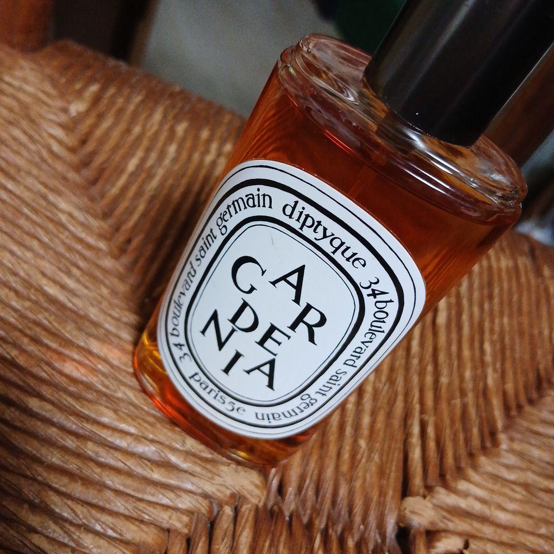 ☆diptyque DO SON ディプティック　ドソンオードトワレ香水☆