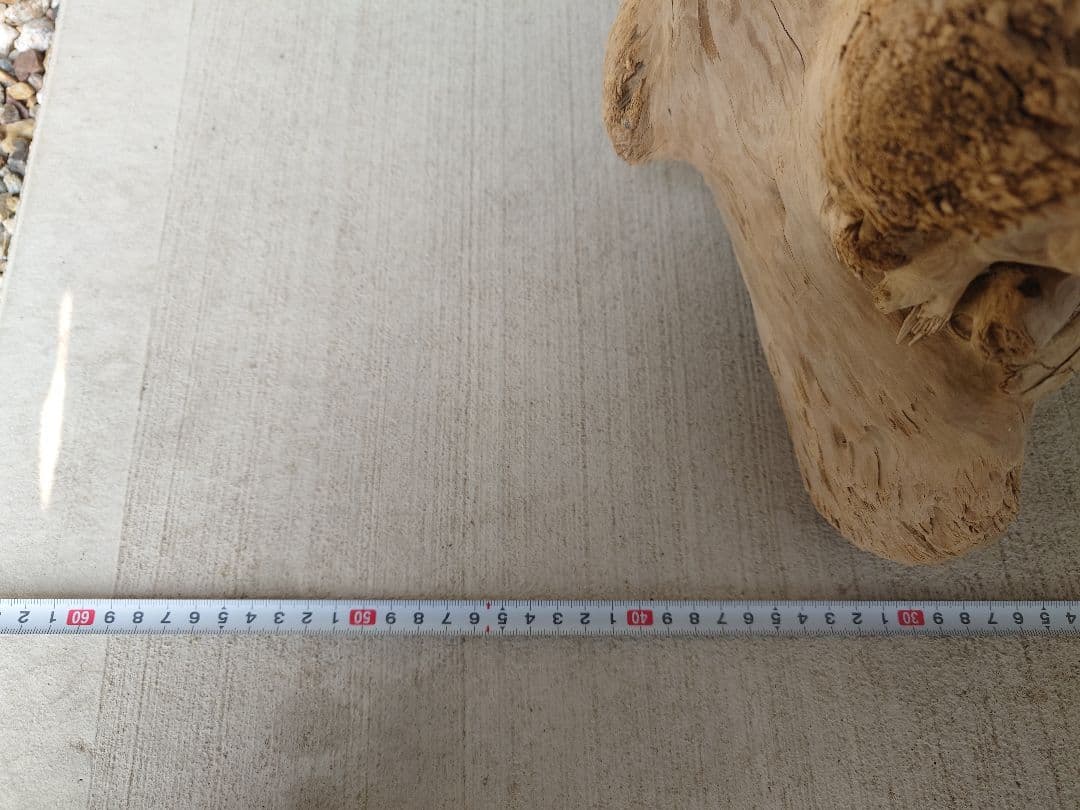 水槽用流木 約60cm 自然な形状