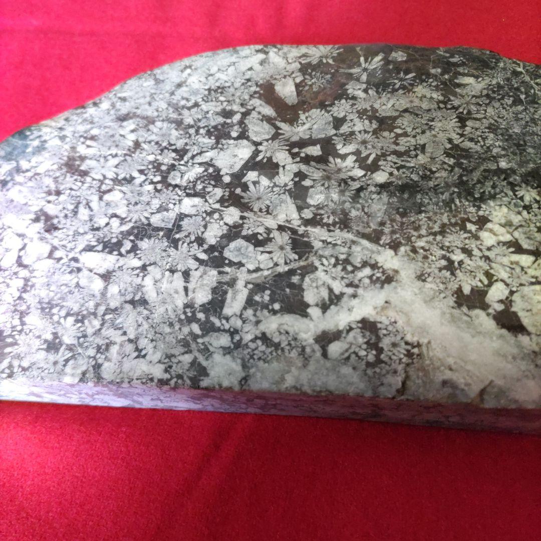 梅花石　D544