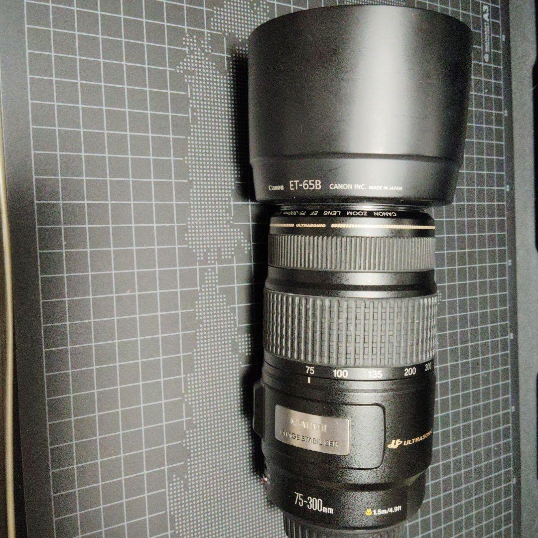 Canon EF 75-300mm f/4-5.6 IS ズームレンズ