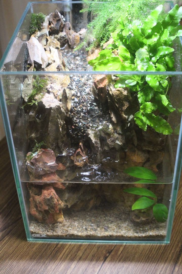 小川のあるアクアテラリウム メダカなど小型の魚を飼育できます