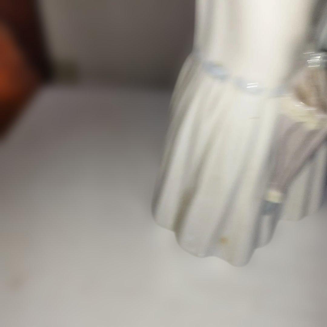 小犬お抱いた貴婦人。