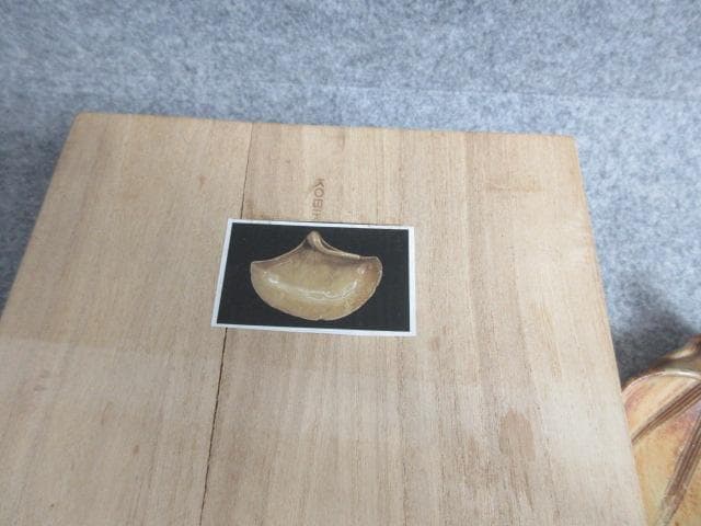 石州亀山焼銀杏皿2枚共箱付き [B28885]