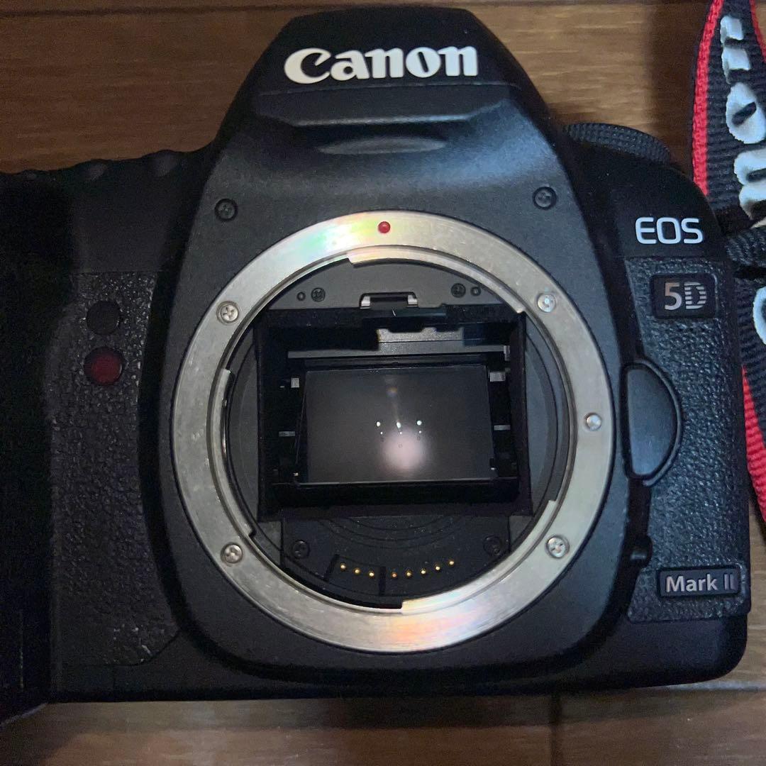 5D Mark II / 28-200 f3.5-5.6 usm セット