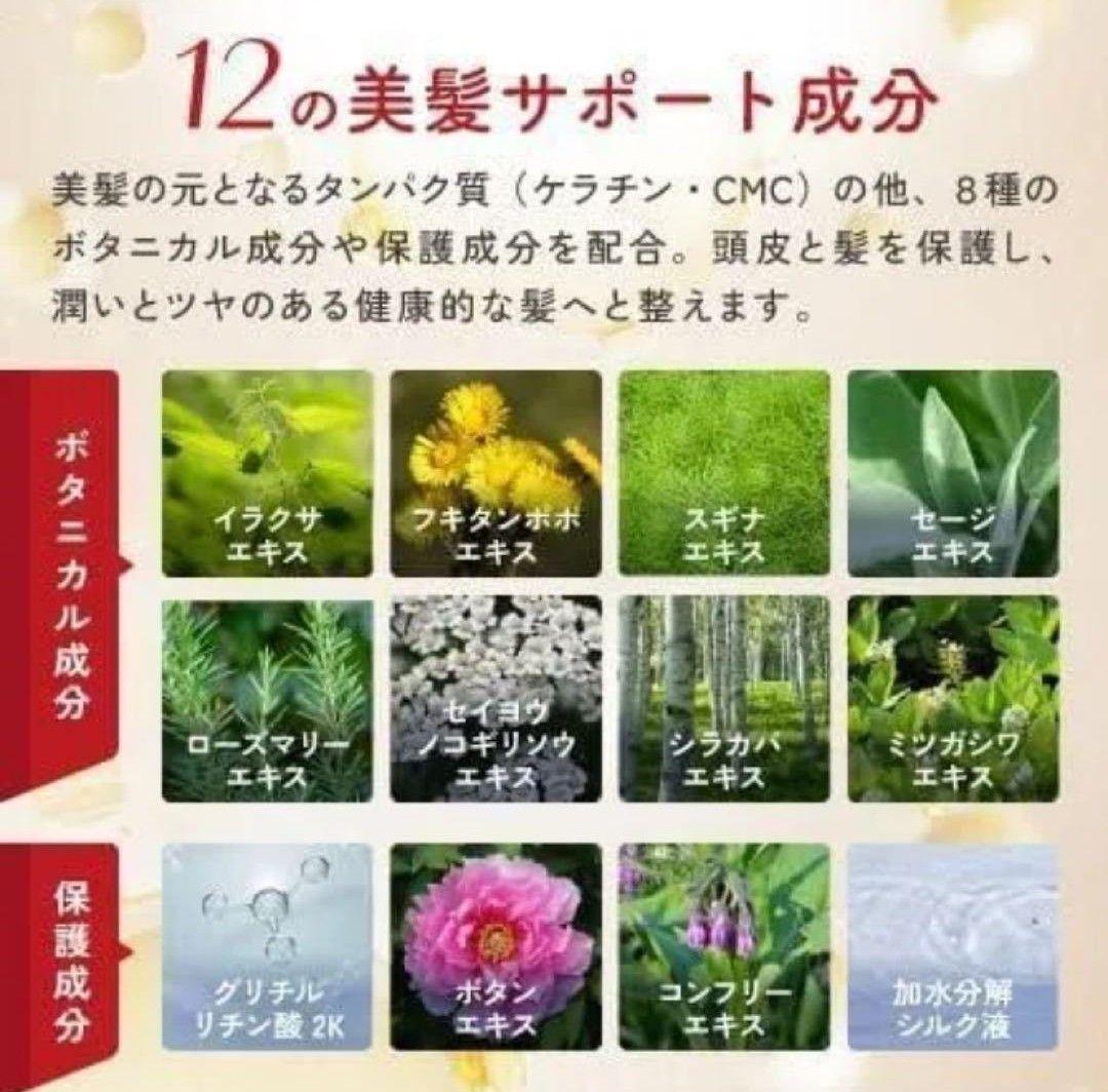 ( DR. HAIRMIKA ドクターヘアミカ　白髪染め　ダークブラウン4個
