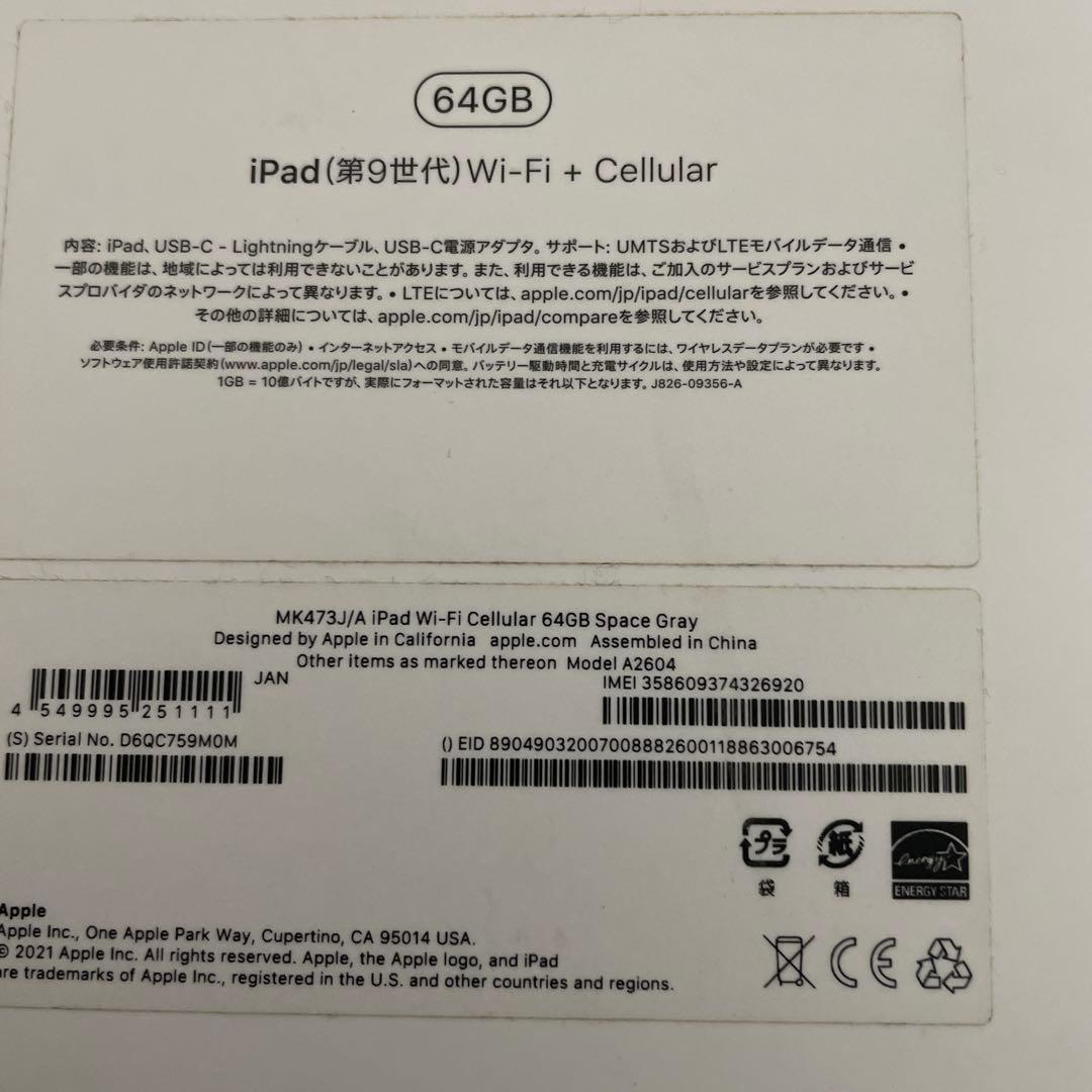 iPad本体 多言語対応 日本
