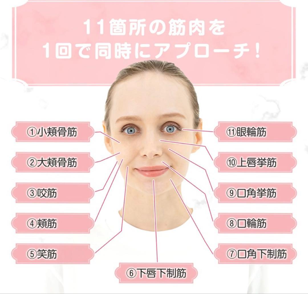 PLEASINGSAN プリージングサン 美顔器 ems
