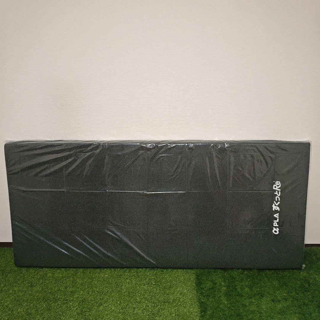 パラマウントベット　レント3モーター　　サイドレール　マット　3点セット　介護用