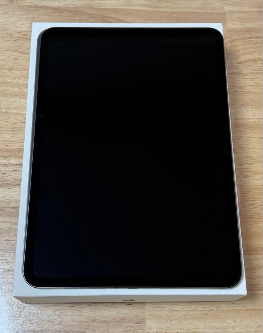 iPad Pro11インチM4 256GB wifi-cellular