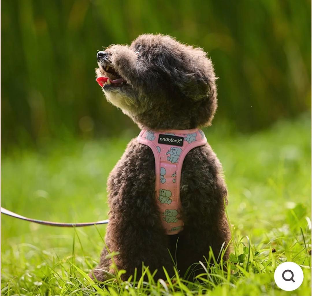andblank 犬用ハーネス＆リードセット ピンク象柄 サイズ1 超美品小型犬