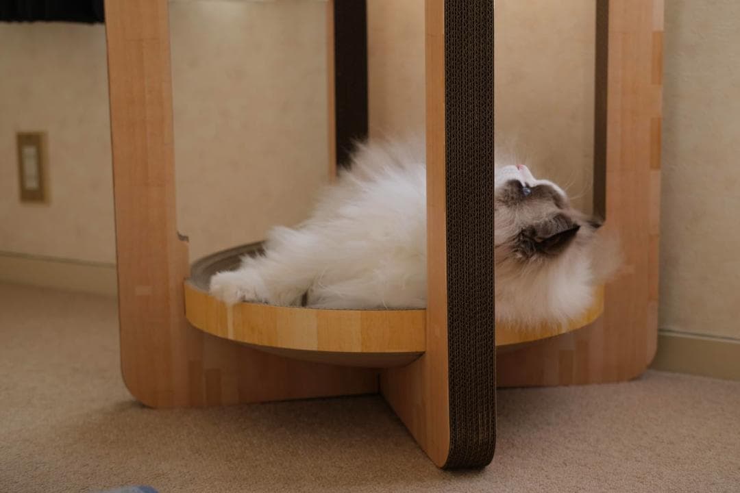 猫壱 バリバリボウルタワー 爪研ぎ ライトブラウン レギュラーp