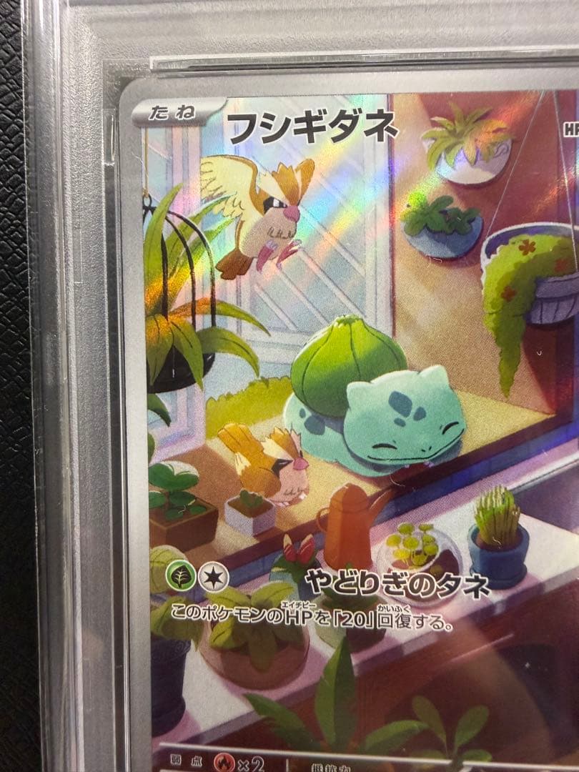 【フシギダネ　050/049 PSA10】