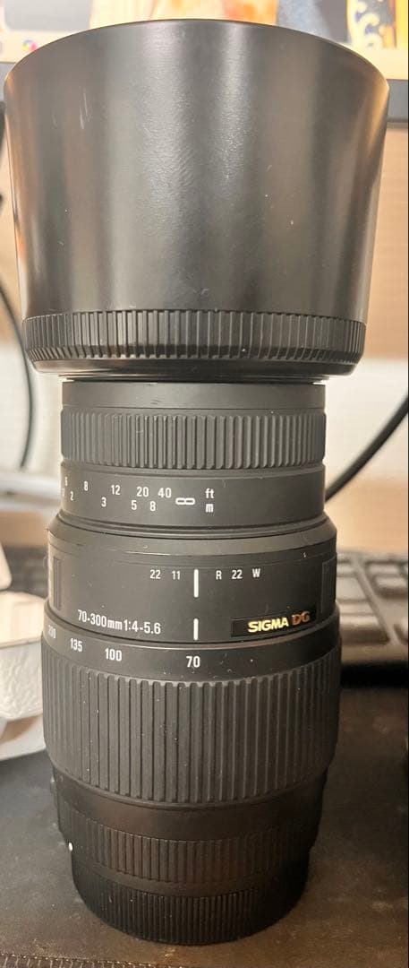 SIGMA 70-300mm F4-5.6 DG MACRO EFマウント