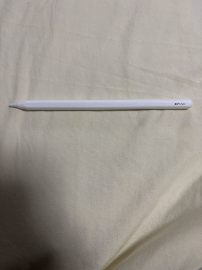 Apple iPad Pro (11インチ) 第2世代 128GB