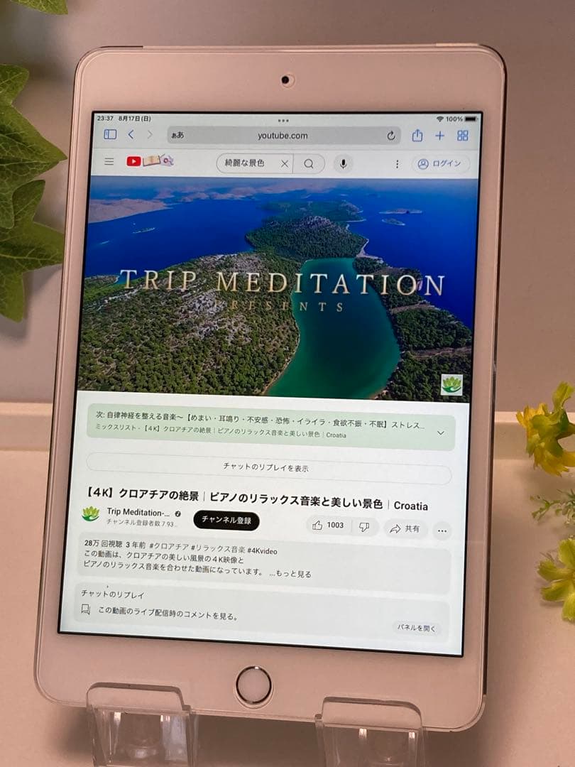 iPad本体 iPad mini 4 Wi-Fi + Cellular MK702J/A