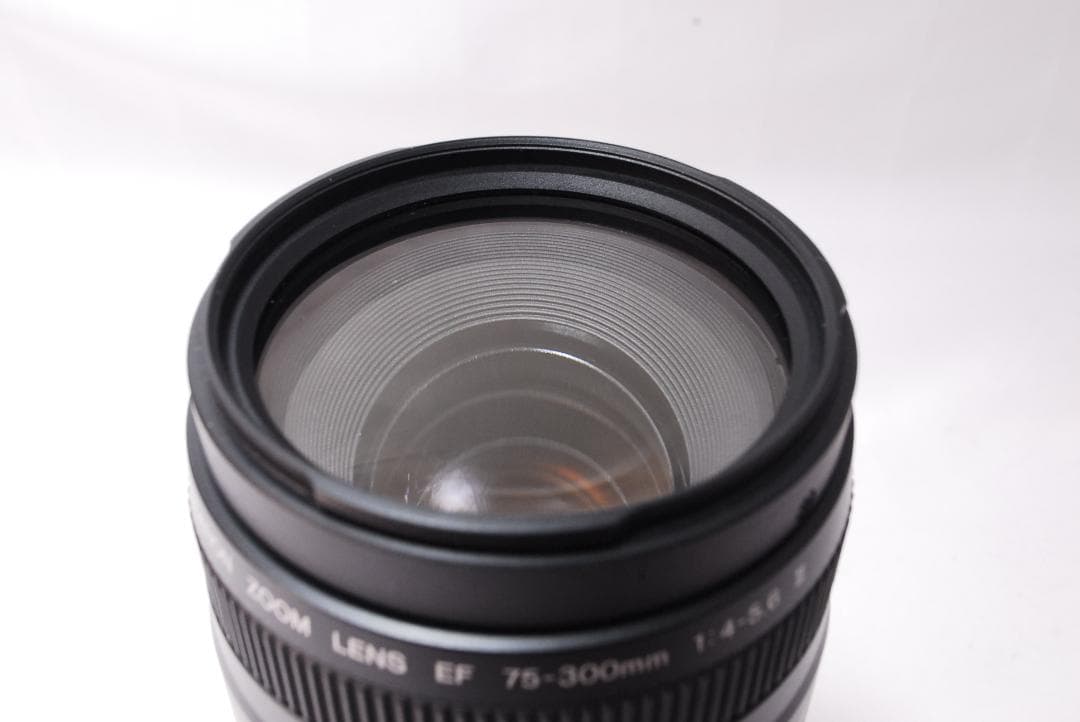 ✨美品✨大人気望遠レンズ✨Canon EF 75-300mm F4-5.6 Ⅱ