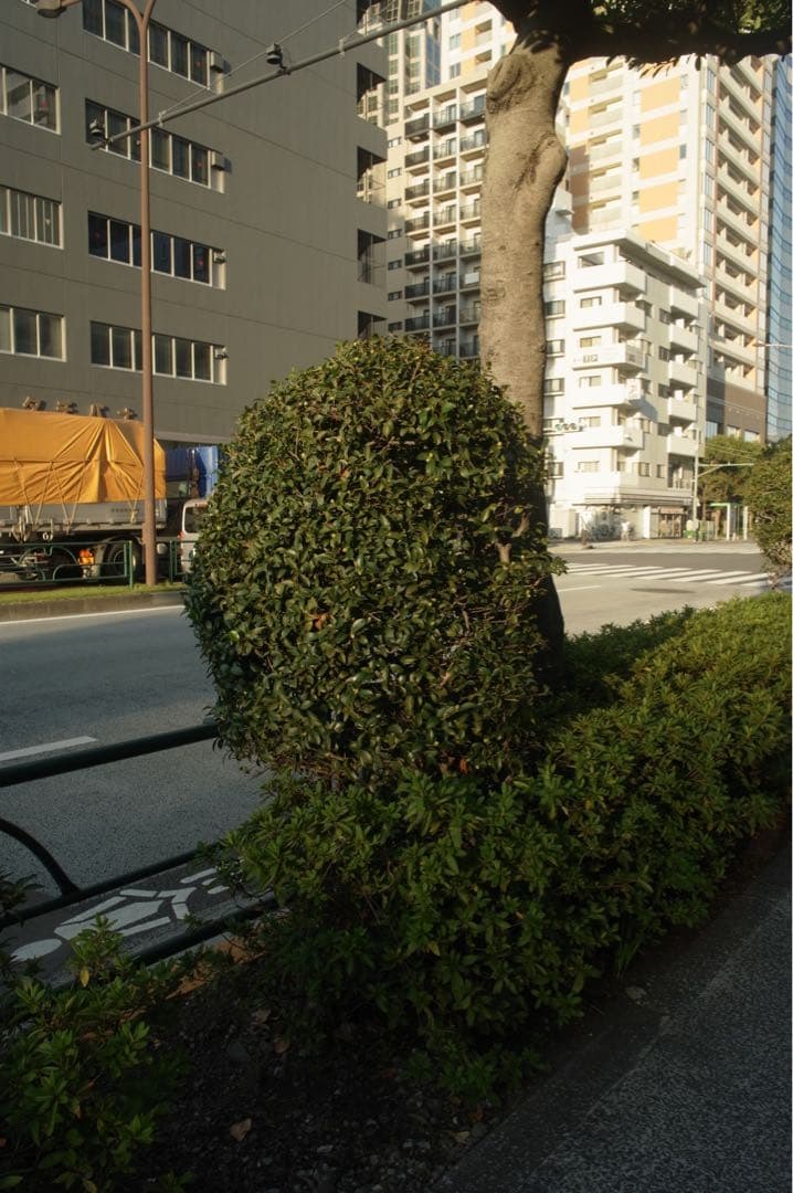デジタルカメラ RICOH GXR A28 28mm