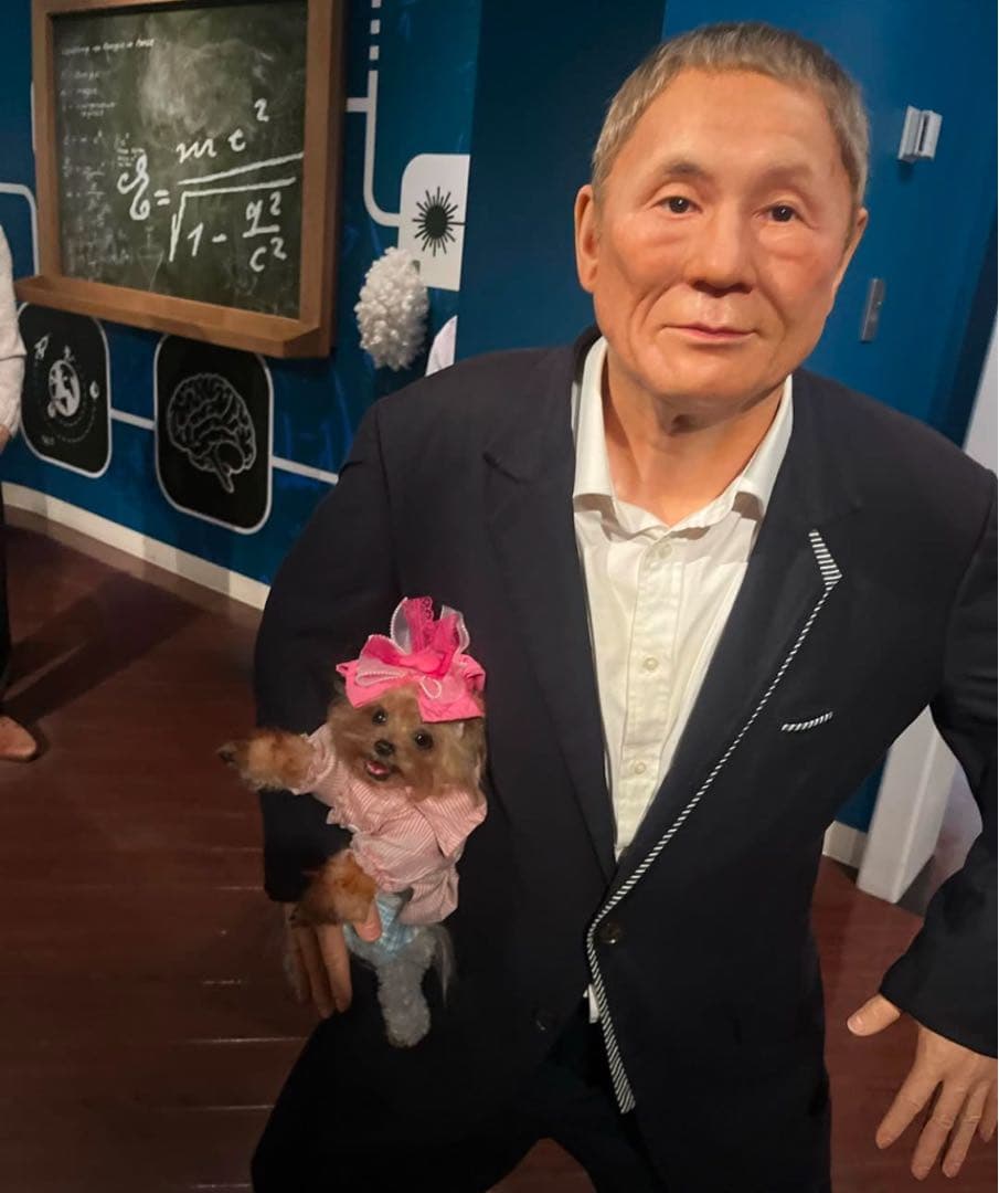 愛犬 アートドール ぬいぐるみ オーダーメイド