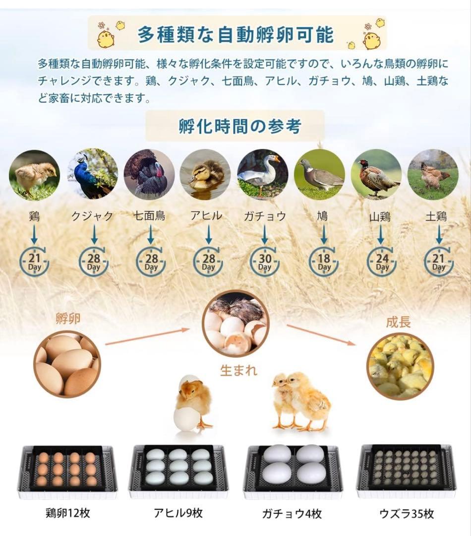 新品未使用 孵卵器 インキュベーター 自動転卵 鶏卵12個 ウズラ35個 家庭用