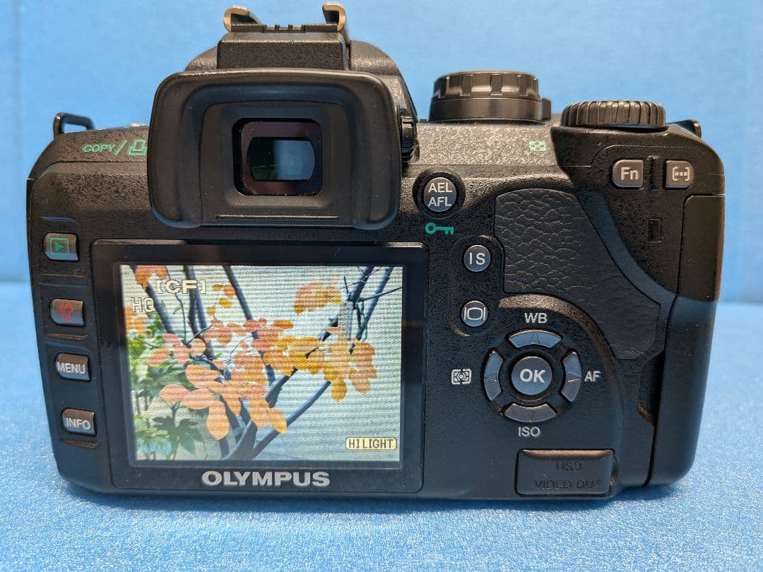 【極上・買得品】OLYMPUS E-510 デジタル一眼＋標準レンズ
