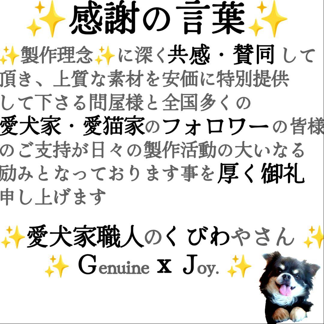【coco】２本セット✨名入れ✨首輪とお揃い✨️小型犬用リード