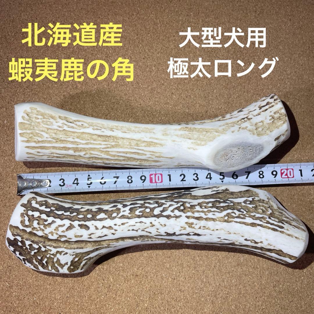鹿の角　犬のおもちゃ　北海道産　　　　　　　　　　　RIOT