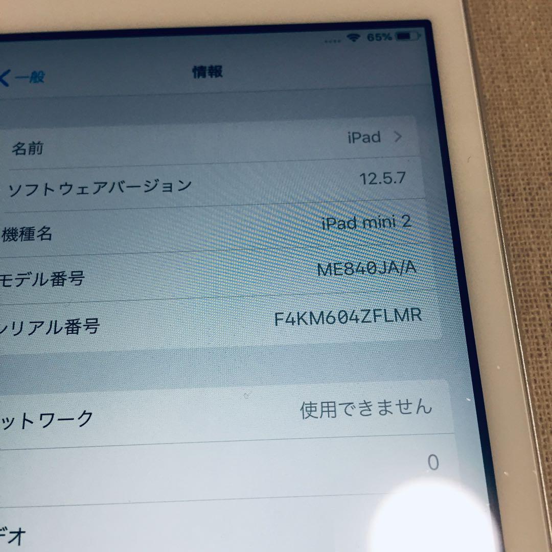 美品 iPad mini2 128GB A1490 wifi cellular