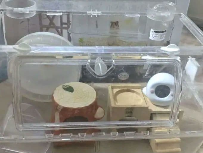 ハムスター飼育キット☆夢みるお城　ルーミィ グランスペース おまけ多数