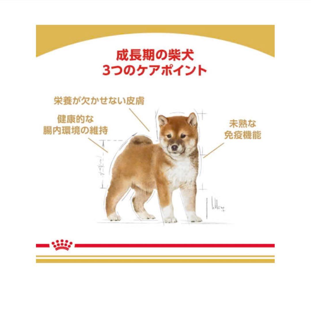 ロイヤルカナン　柴犬子犬3kg✖️4袋　 新品未開封
