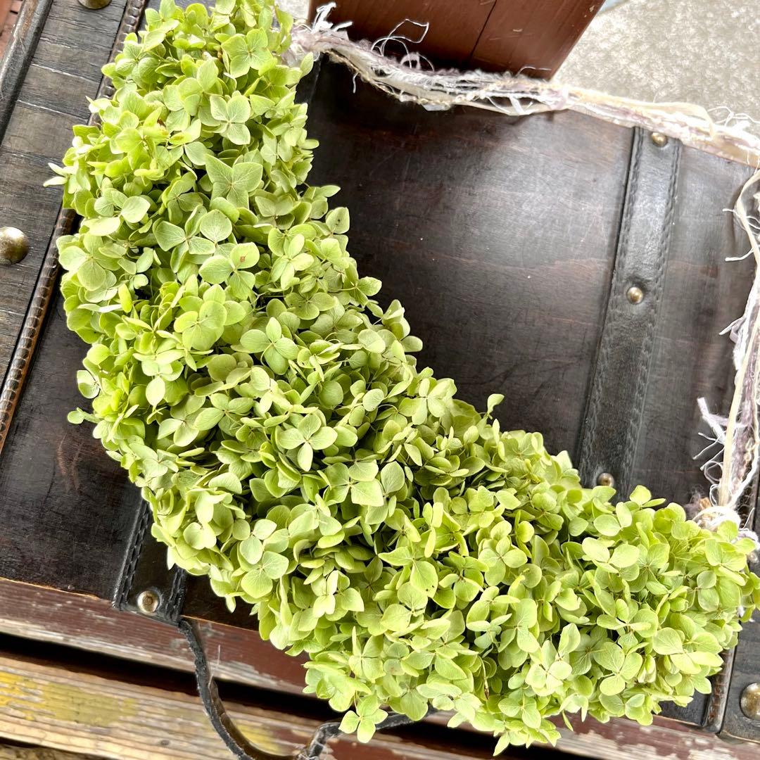 アナベル紫陽花　三日月リース