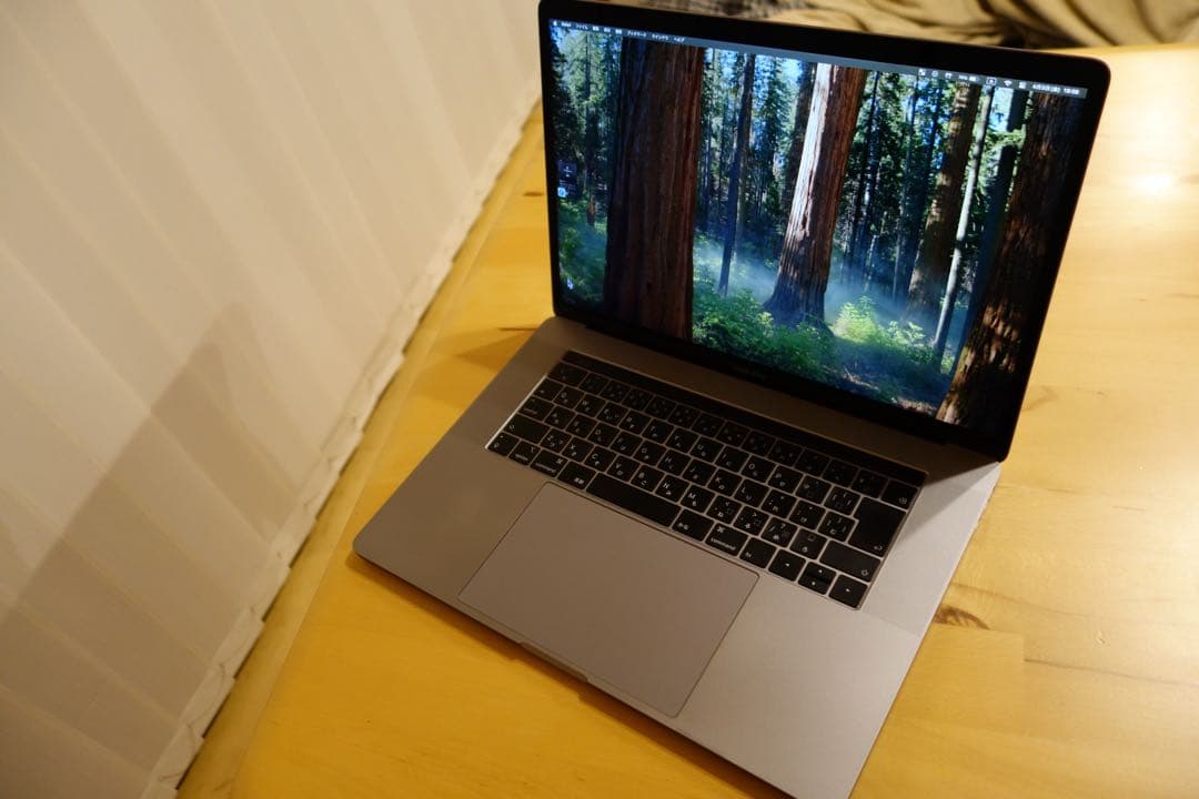 MacBookPro A1990 i7 16GB 256GB 中古美品