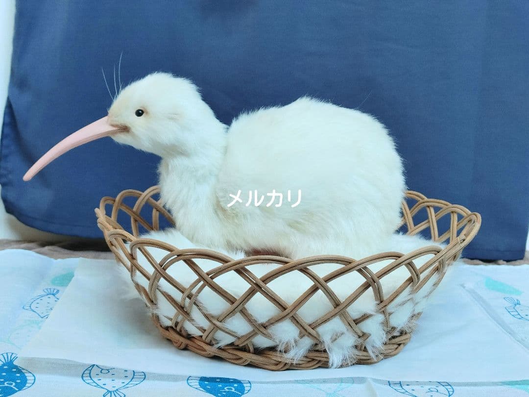 アートドール「白変種のキーウィ」作家作ぬいぐるみ artdoll
