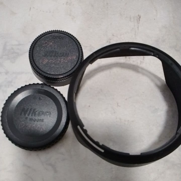 Nikon ニコン D300s デジタル一眼レフカメラ 黒