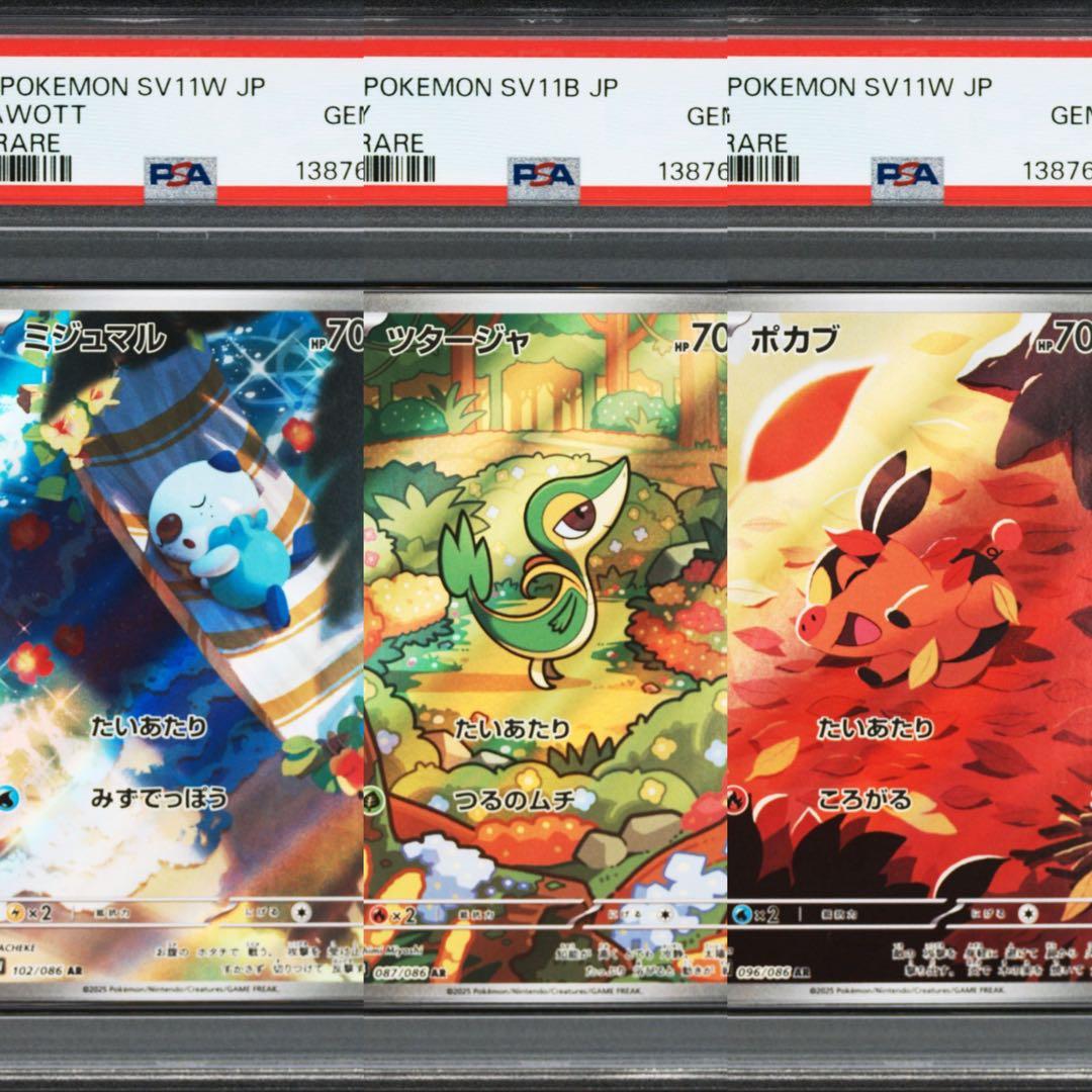 【PSA10】ミジュマル　ツタージャ　ポカブ　AR イッシュ　御三家　3連番