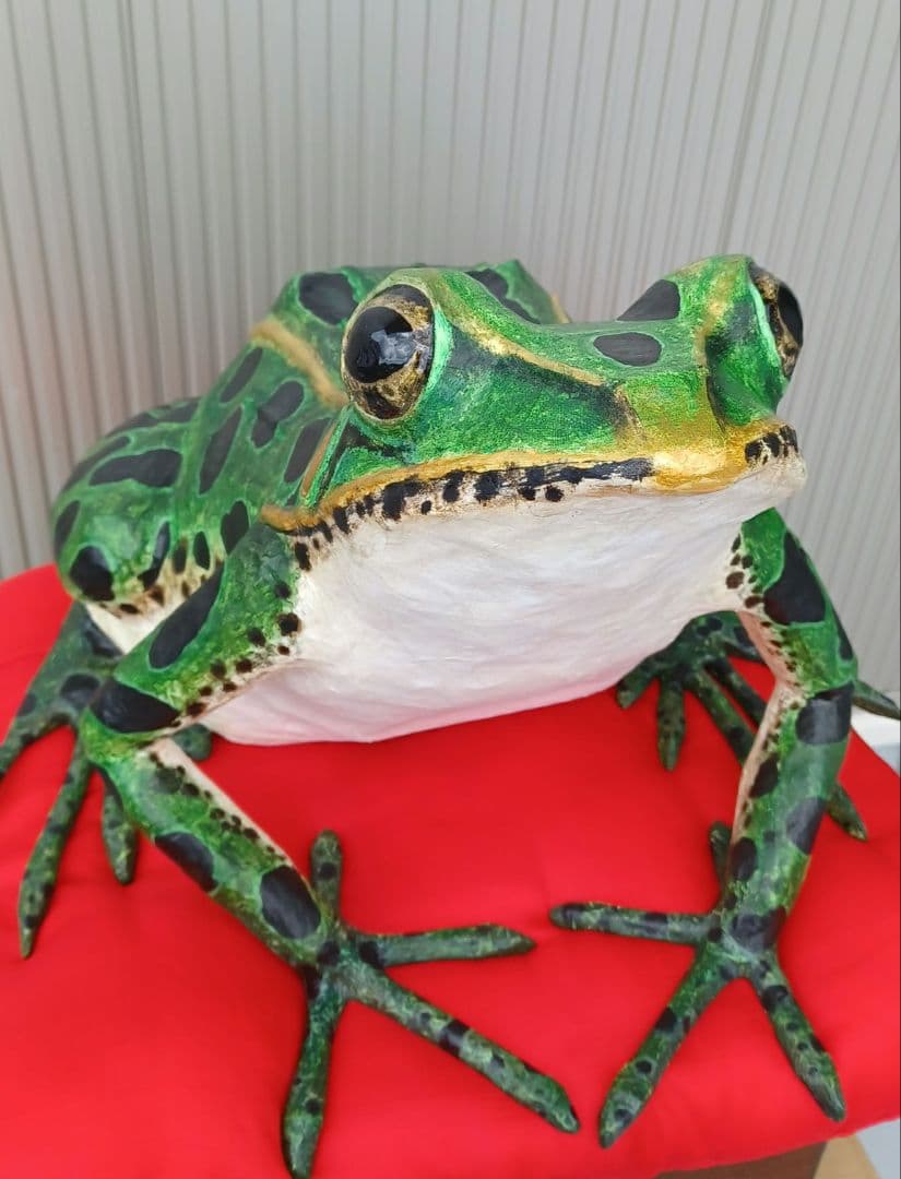 ４月のカエル君　福ダルマガエル