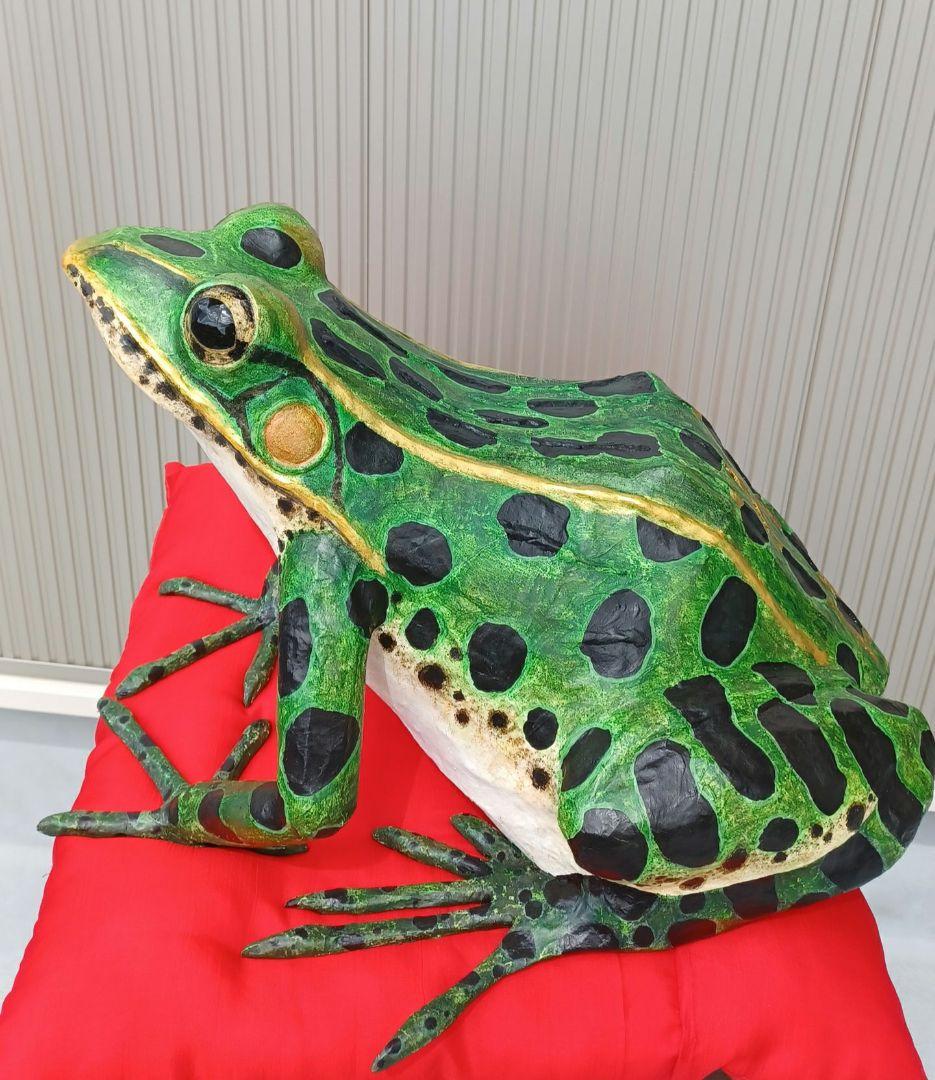 ４月のカエル君　福ダルマガエル