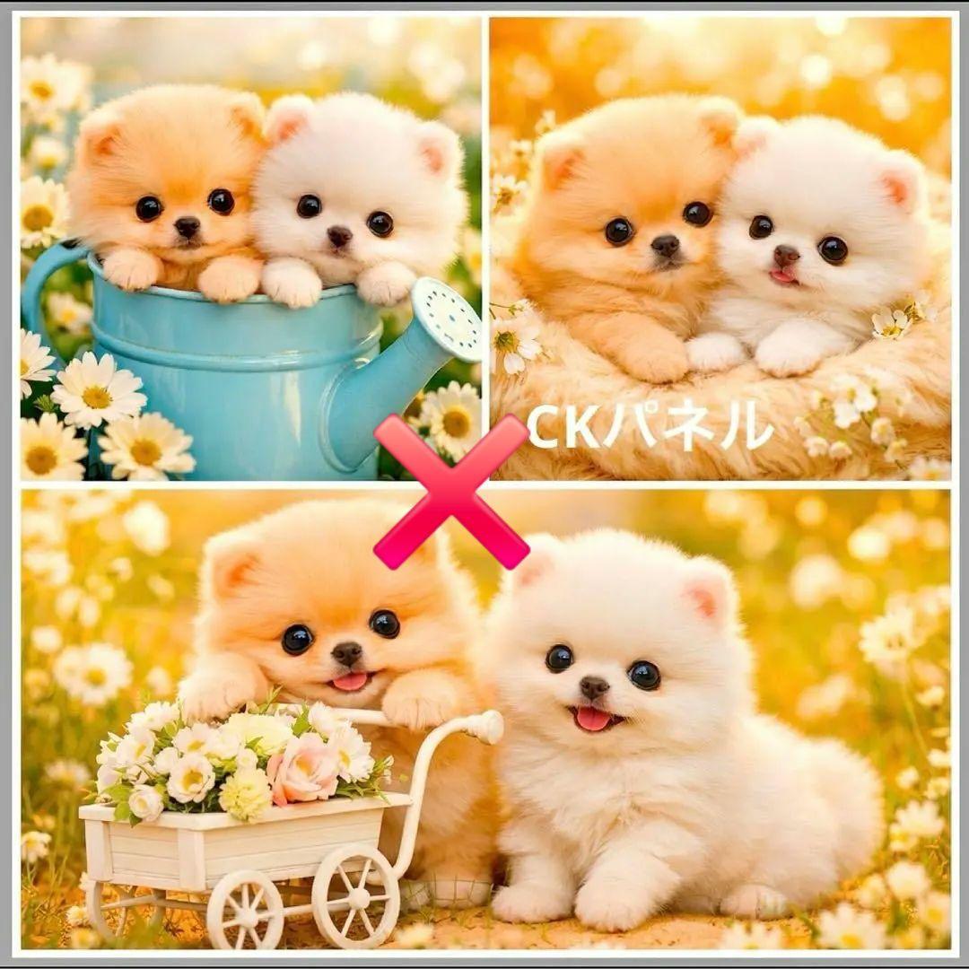 激レア柴犬、ポメラニアン、パグ、マルチーズ、チワワ、トイプーパネル生地