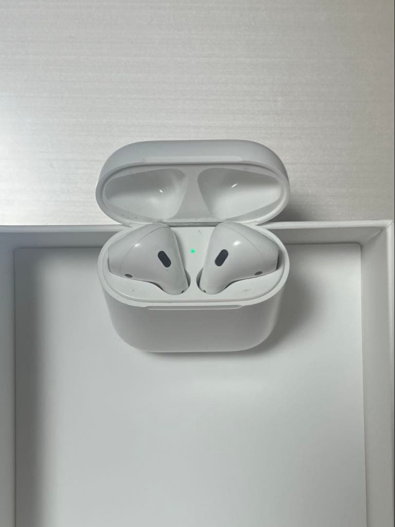 Apple AirPods エアポッズ 第2世代 本体 nikeケース付き