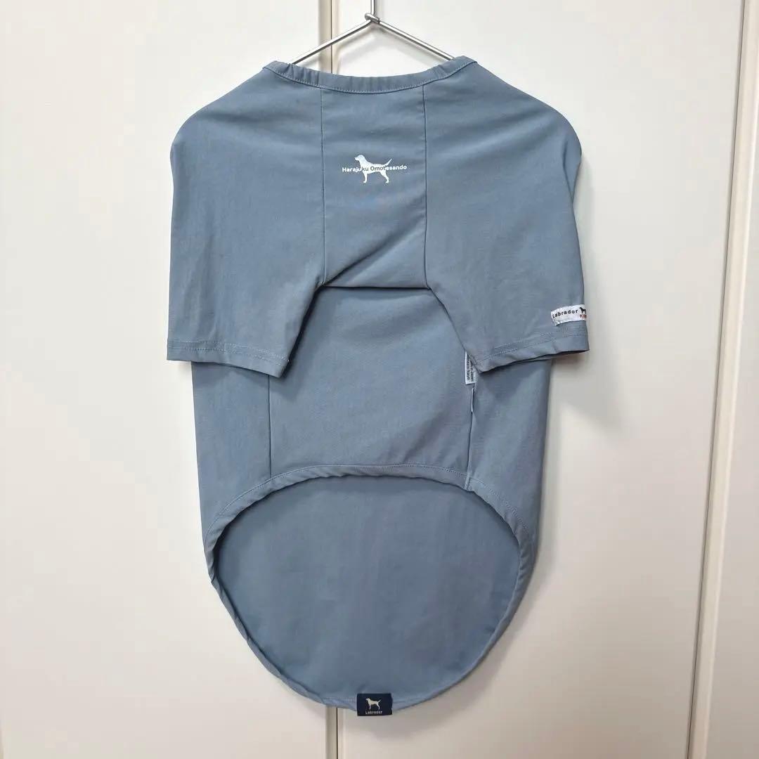 ラブラドールレトリバー 大型犬用 Tシャツ 37.5 ライトブルー