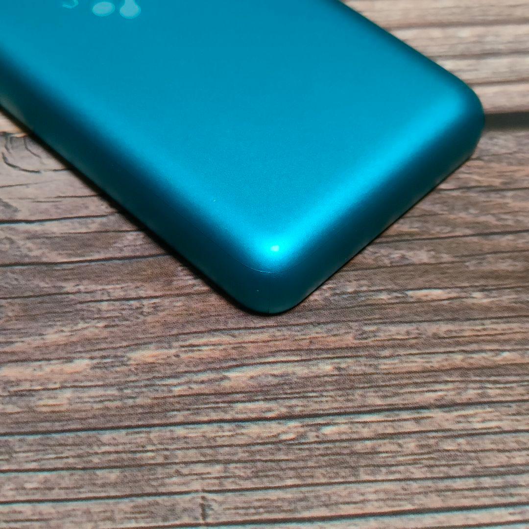 SONY ウォークマン NW-S313 4GB 美品