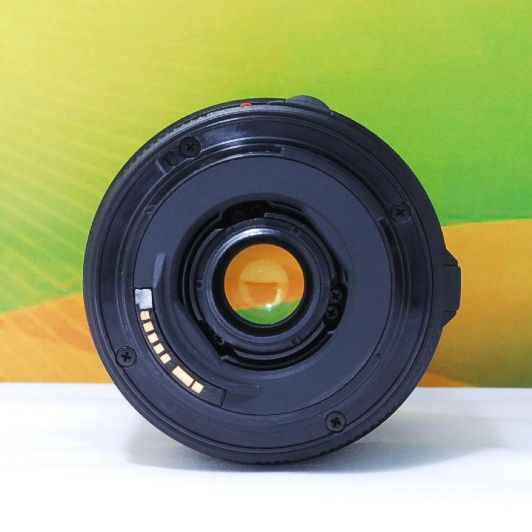 TAMRON 28-300mm Canon用 高倍率ズーム 1本で全部撮れる