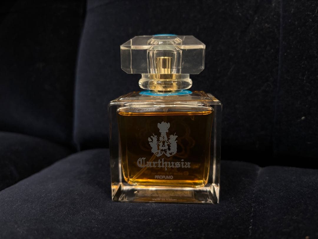 【残量9割以上】カルトゥージア ARIA DI CAPRI 50ml